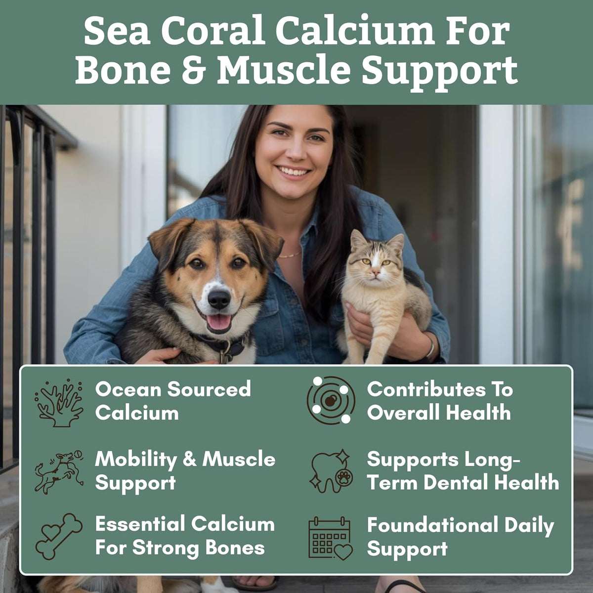 Wholistic Pet Organics Pure Powder Calcium – Quality Certifications: Look for products made in facilities that – Image 4