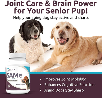 K9 Select SAM-e for Dogs – Liver and Joint Support Supplement for Small and Medium Dogs (90mg, 60 Enteric-Coated Tablets)