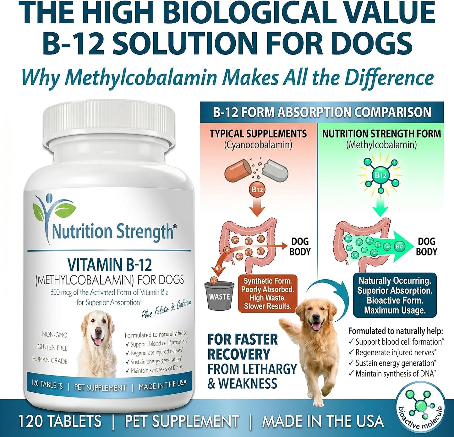 Nutrition Strength Vitamin B12 for Dogs Plus Folate & Calcium – 120 Chewable Tablets - görsel 5