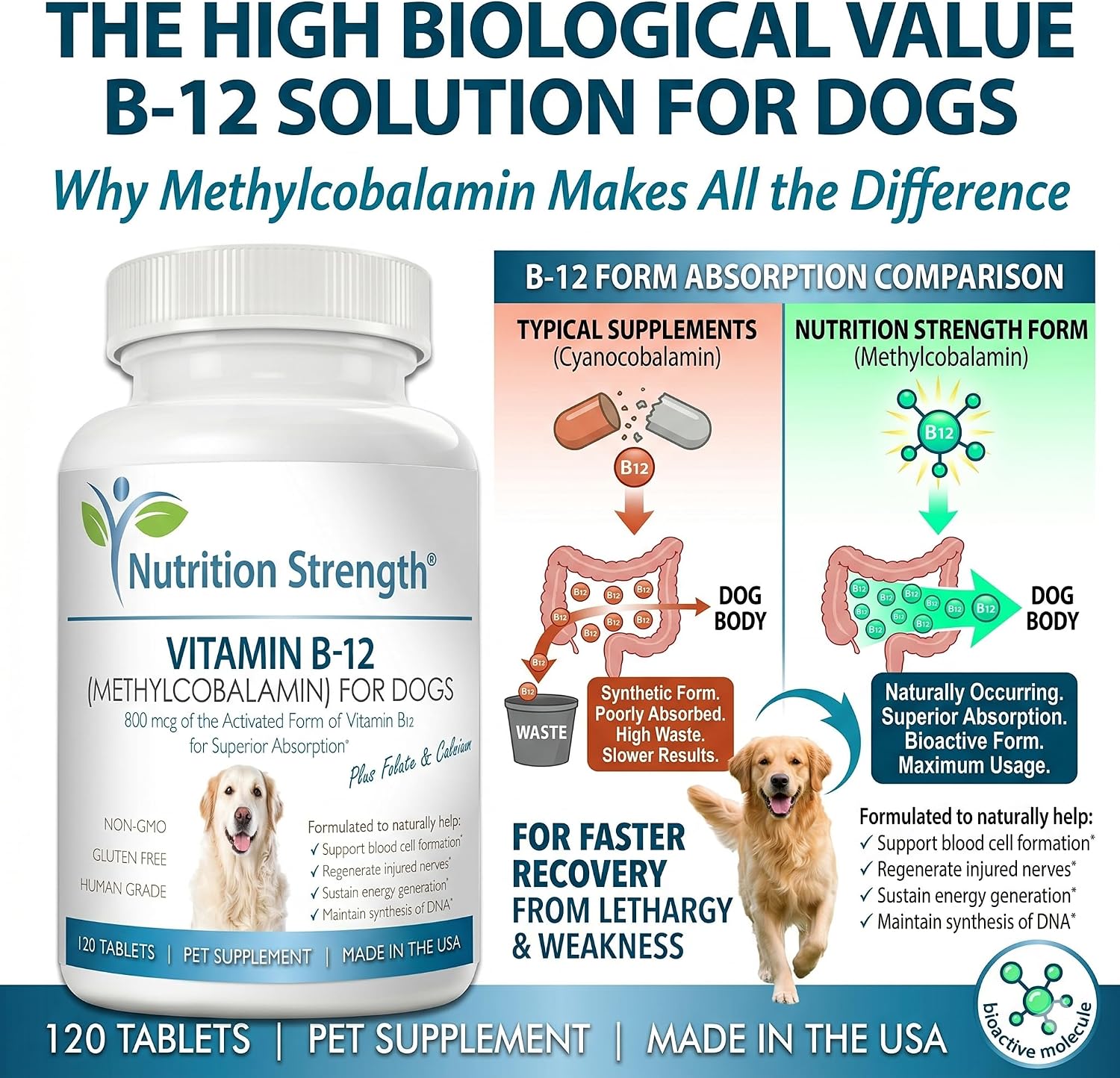 Nutrition Strength Vitamin B12 for Dogs Plus Folate & Calcium – 120 Chewable Tablets - görsel 5