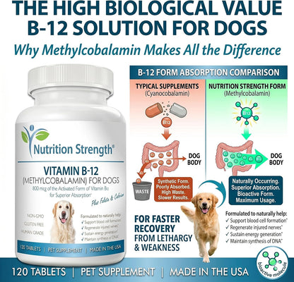 Nutrition Strength Vitamin B12 for Dogs Plus Folate & Calcium – 120 Chewable Tablets