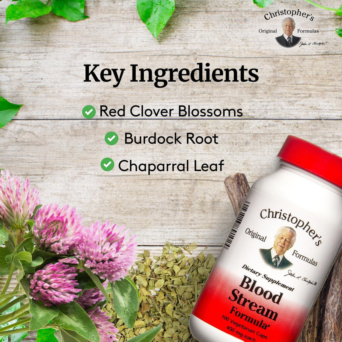 DR. CHRISTOPHER'S Formulae Blood Stream Formula, 100 Caps - görsel 3