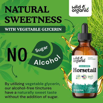 Wild & Organic Horsetail Herb Tincture - Hair, Skin and Nails Support - Liquid Horsetail Supplement - Vegan, Sugar & – Image 6