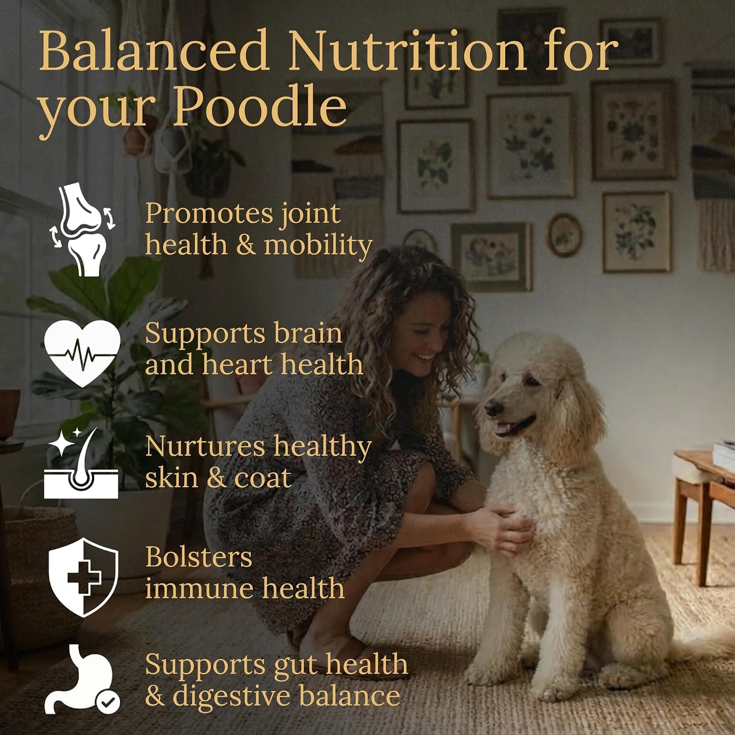 Prestige Breed Multivitamins, Balanced Nutrition for Your Poodle, 90 Chews, Made in the USA with Real Bacon - görsel 2