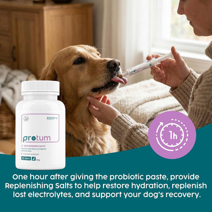 Veterinary Probiotics Paste for Dogs, Tasty Peanut Flavour for Fussy Eaters, Advanced Prebiotic Formula for Digestive Support - Aids Digestion, Diarrhoea Relief, Anti Sickness (60ml)