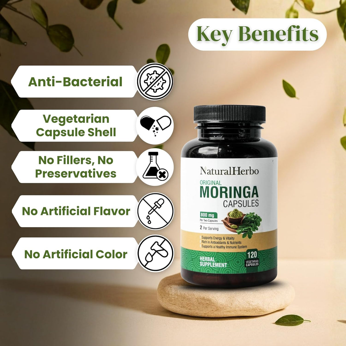 Pure Moringa Capsules - Pure Moringa Leaf Extract for Natural Energy, Digestion & Daily Wellness | Green Superfood Supplement | Vegan, Non-GMO, Gluten-free | 120 Capsules (800mg) - görsel 5