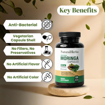 Pure Moringa Capsules - Pure Moringa Leaf Extract for Natural Energy, Digestion & Daily Wellness | Green Superfood Supplement | Vegan, Non-GMO, Gluten-free | 120 Capsules (800mg)
