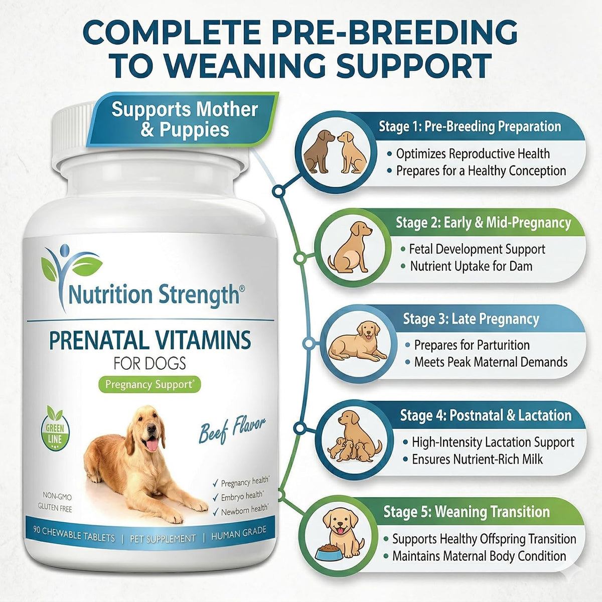 Prenatal Vitamins for Dogs – 90 Chewable Tablets | Nutrition Strength - görsel 2