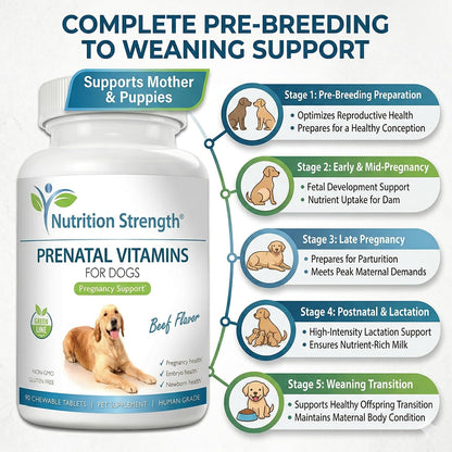 Prenatal Vitamins for Dogs – 90 Chewable Tablets | Nutrition Strength