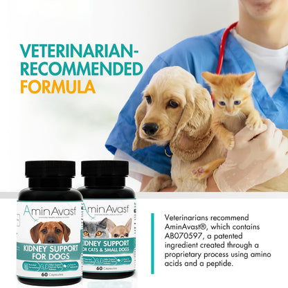 AminAvast Dog Kidney Supplement - Supports Natural Kidney Function - Promotes Health & Vitality of Ageing Kidneys - Pet-Friendly, 1000mg, 60 Capsules