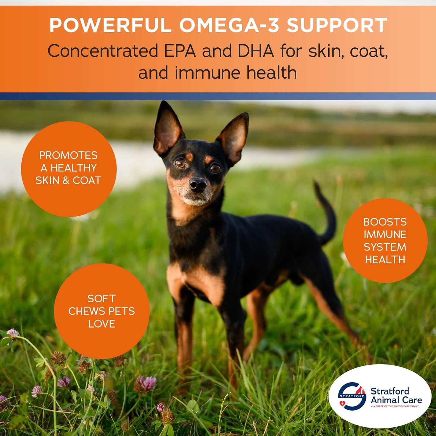 Stratford EZ Chew Omega 3 Fatty Acid Soft Chew Max Strength - Dog Omega 3 Supplement - Soft Chew Treats with Fish Oil for Dogs - Small and Medium Dogs - 60 Soft Chews - görsel 4
