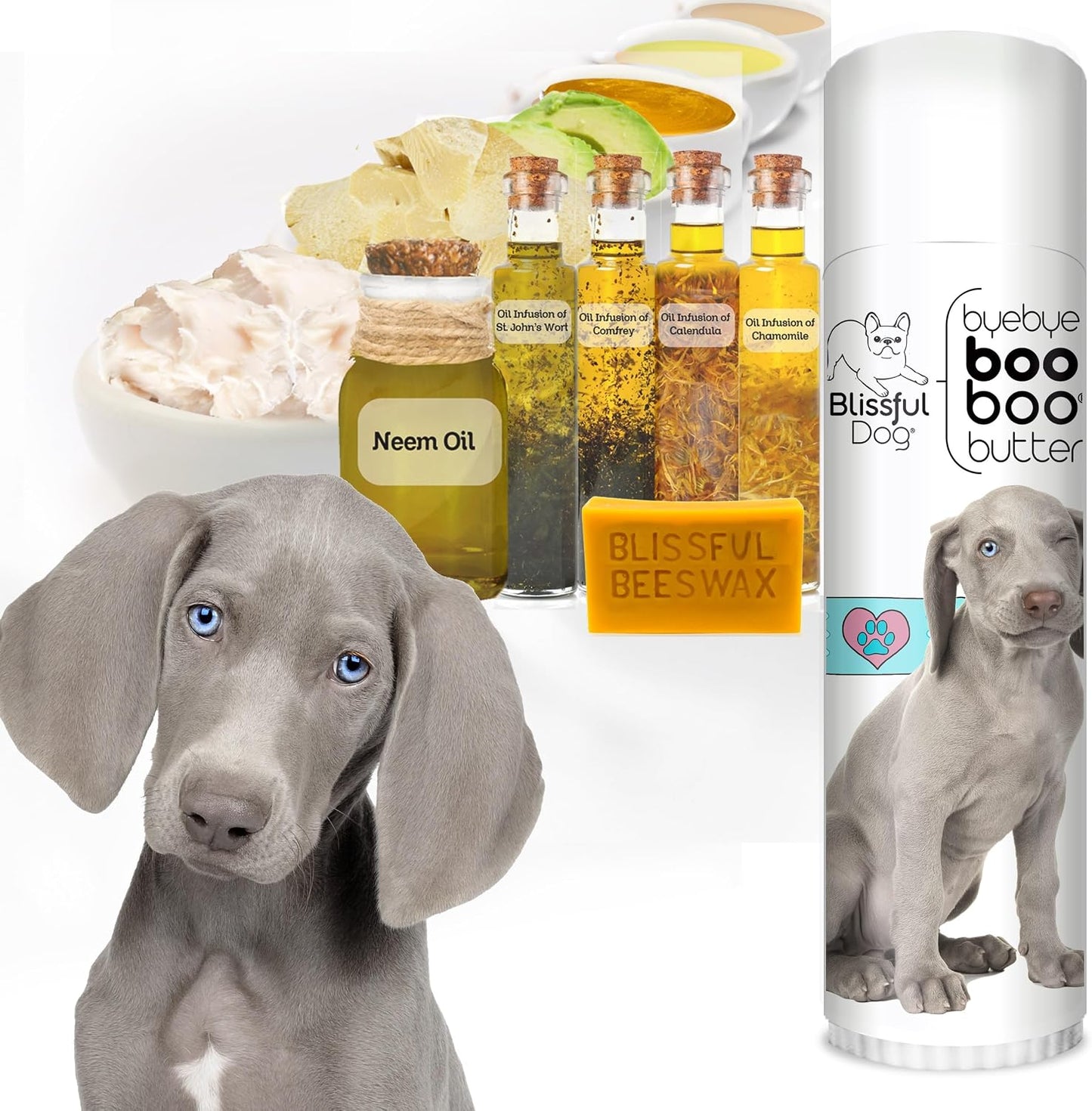 The Blissful Dog 14 g Tube Weimaraner Booboo Butter - görsel 2