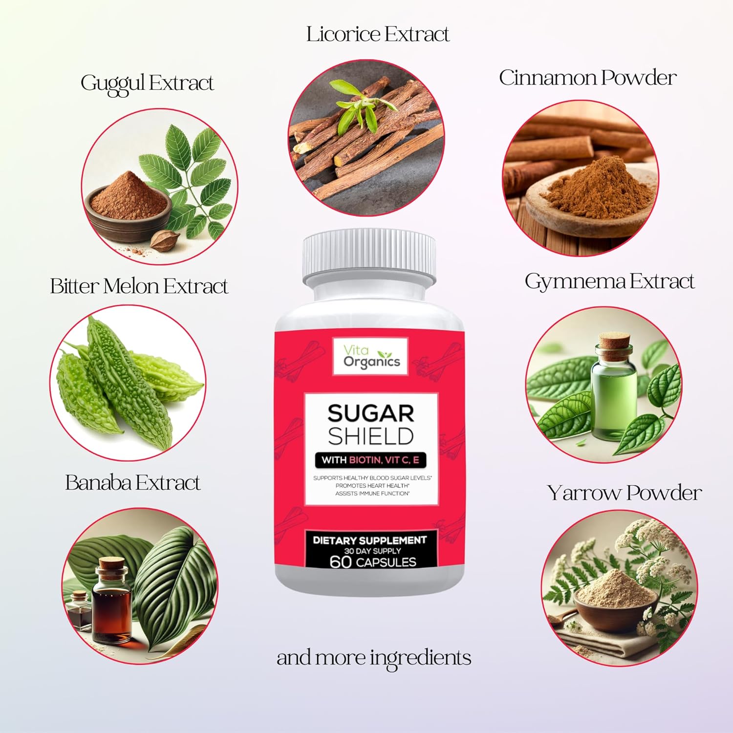 Sugar Shield - Advanced Sugar Support Food Supplement with Biotin, Chromium & Herbs - 60 Vegan Capsules - görsel 3