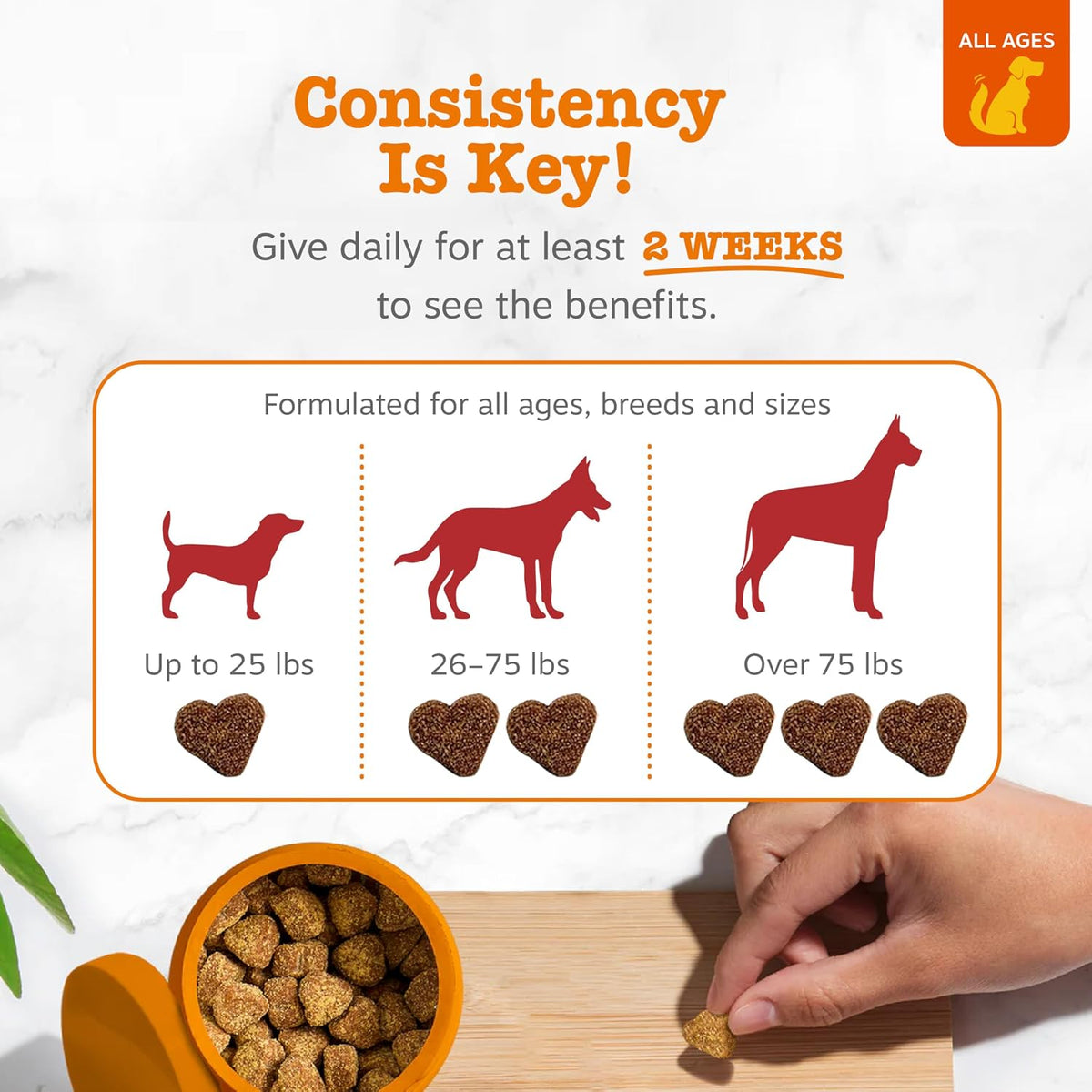 Zesty Paws Cranberry Supplement for Dogs – Urinary Tract Support Chews, Chicken Flavour, 90 Count - görsel 4
