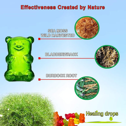 Sea Moss Gummies - Irish Sea Moss with Bladderwrack & Burdock Root - Raw Organic Wildcrafted - Vegan Non-GMO - Immune Support & Detox (Assorted Flavours)