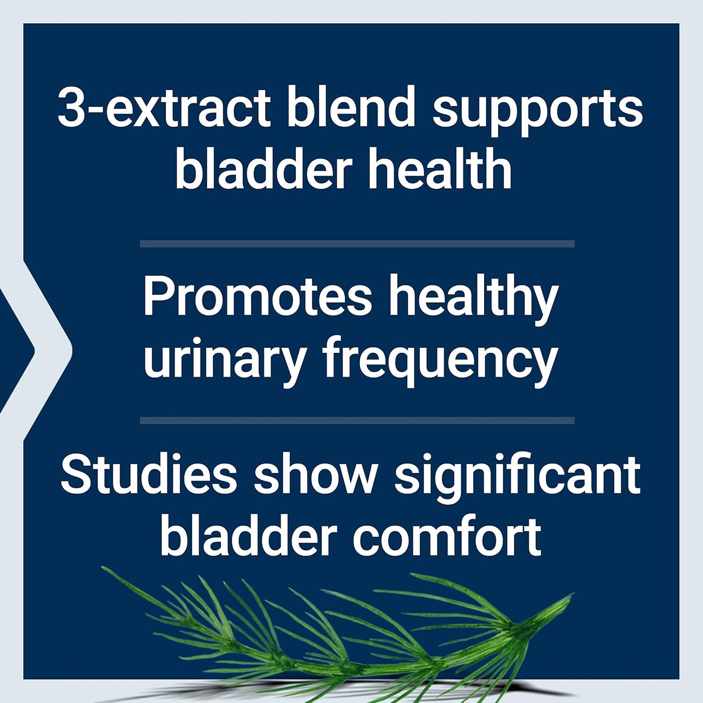 Life Extension Women's Bladder Support – 60 Vegetarian Capsules - görsel 4