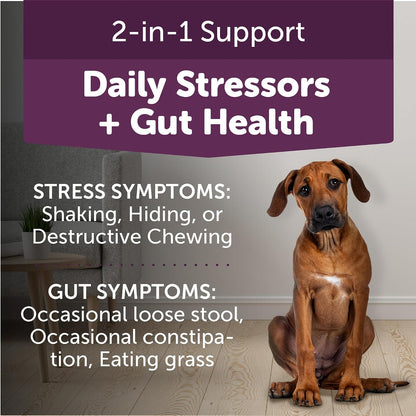 ThunderBites Calm + Probiotics for Dogs Daily Supplement Soft Chews, 90 Chews