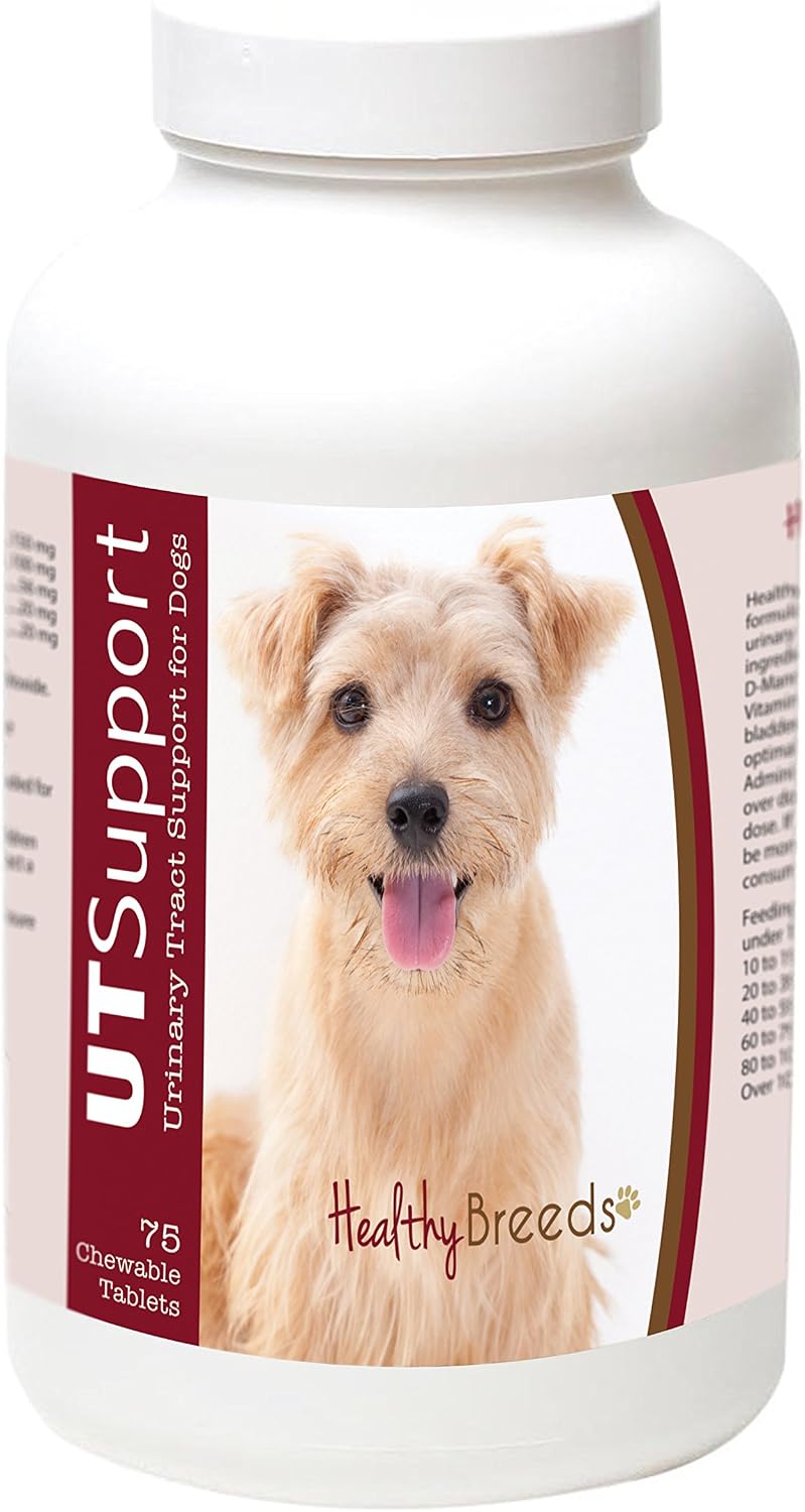 Healthy Breeds Norfolk Terrier Cranberry Chewables - Urinary Tract Support - 75 Count - görsel 1