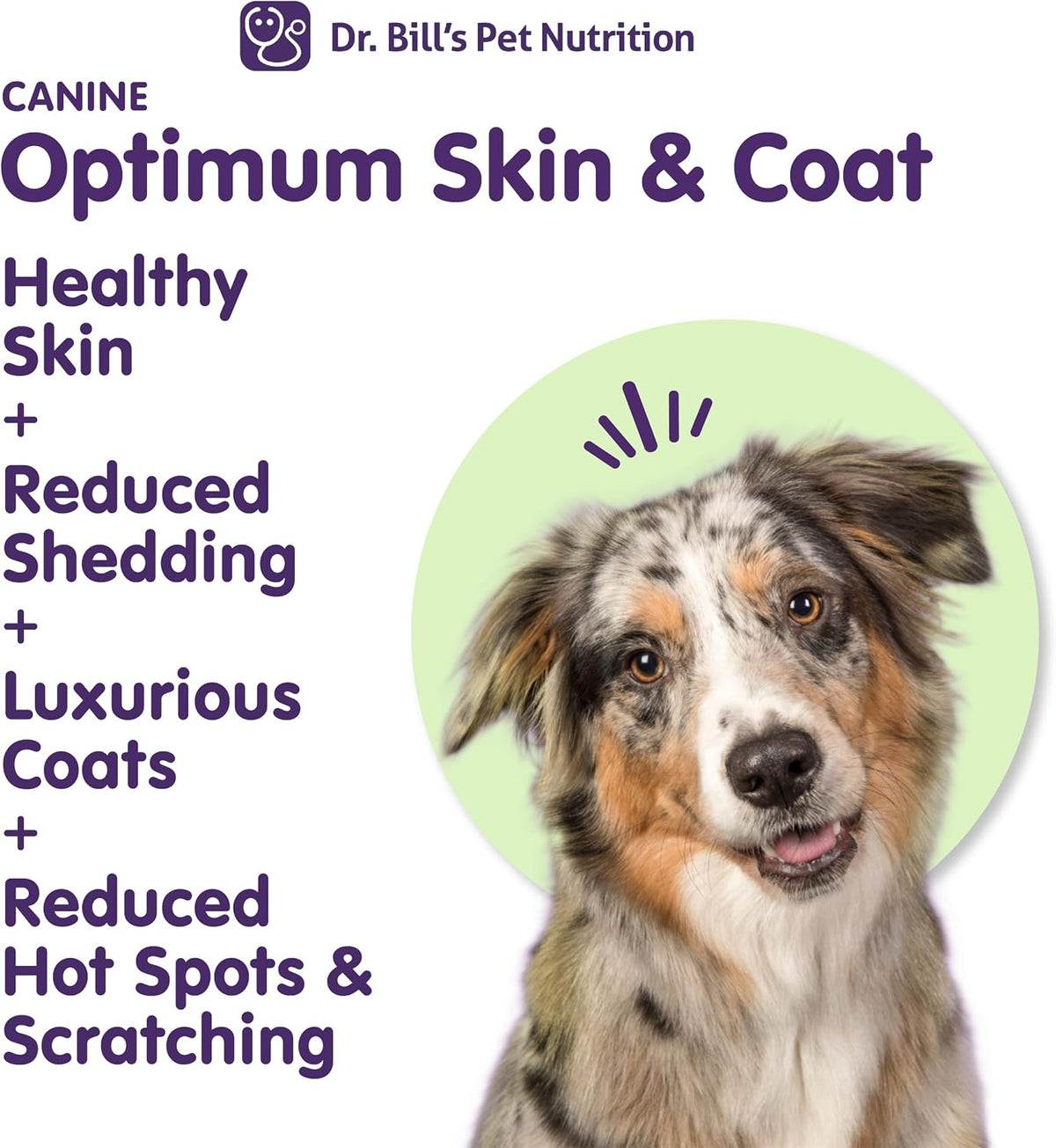 Dr. Bill's Canine Optimum Skin and Coat – Omega-3, Collagen, Biotin & Hyaluronic Acid – 340g Vet-Recommended Dog Supplement - görsel 7
