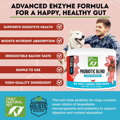 Only Natural Pet Probiotic Dog & Cat Supplement – Digestive and Gut Health Enzyme Formula, Soft Chews, 60 Count