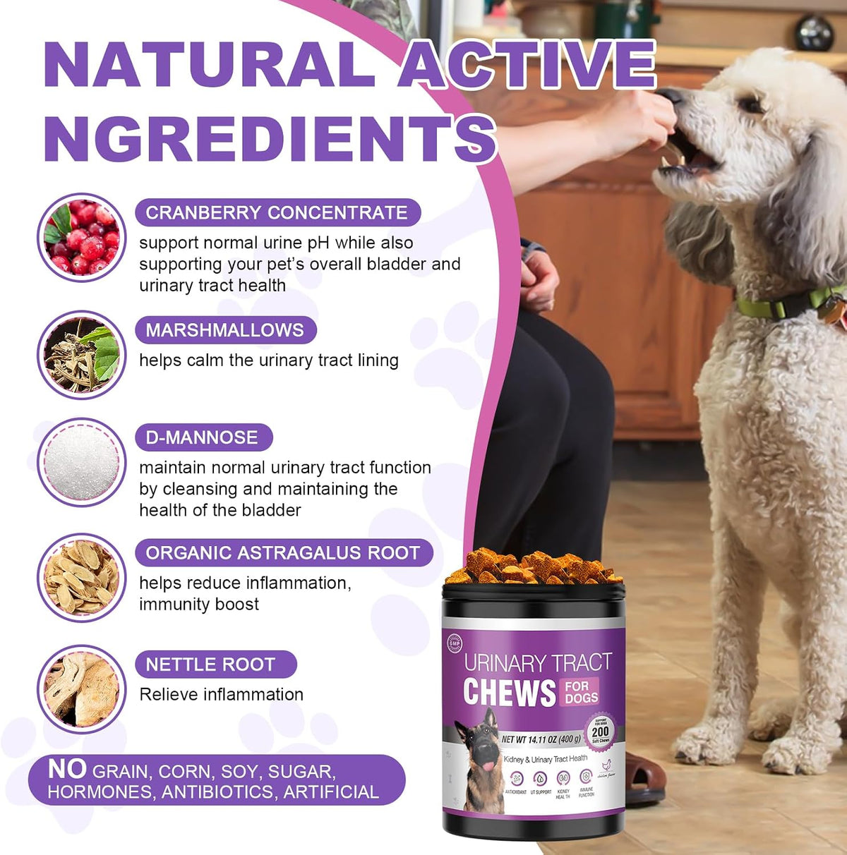 TTLXBL Cranberry Chews for Dogs – 200 Chews for Urinary Health Support - görsel 4
