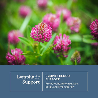 Eclectic Herb Lymph & Blood Cleanse Capsules - Herbal Supplement for Lymphatic & Circulatory Support - 45 Capsules