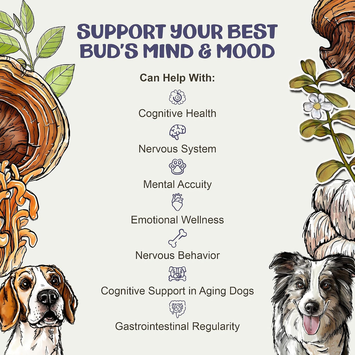 Clarity - Cognitive Support Mushroom Supplement for Dogs - Brain Health, Memory and Focus Support with Adaptogens for Ageing Dogs - görsel 5
