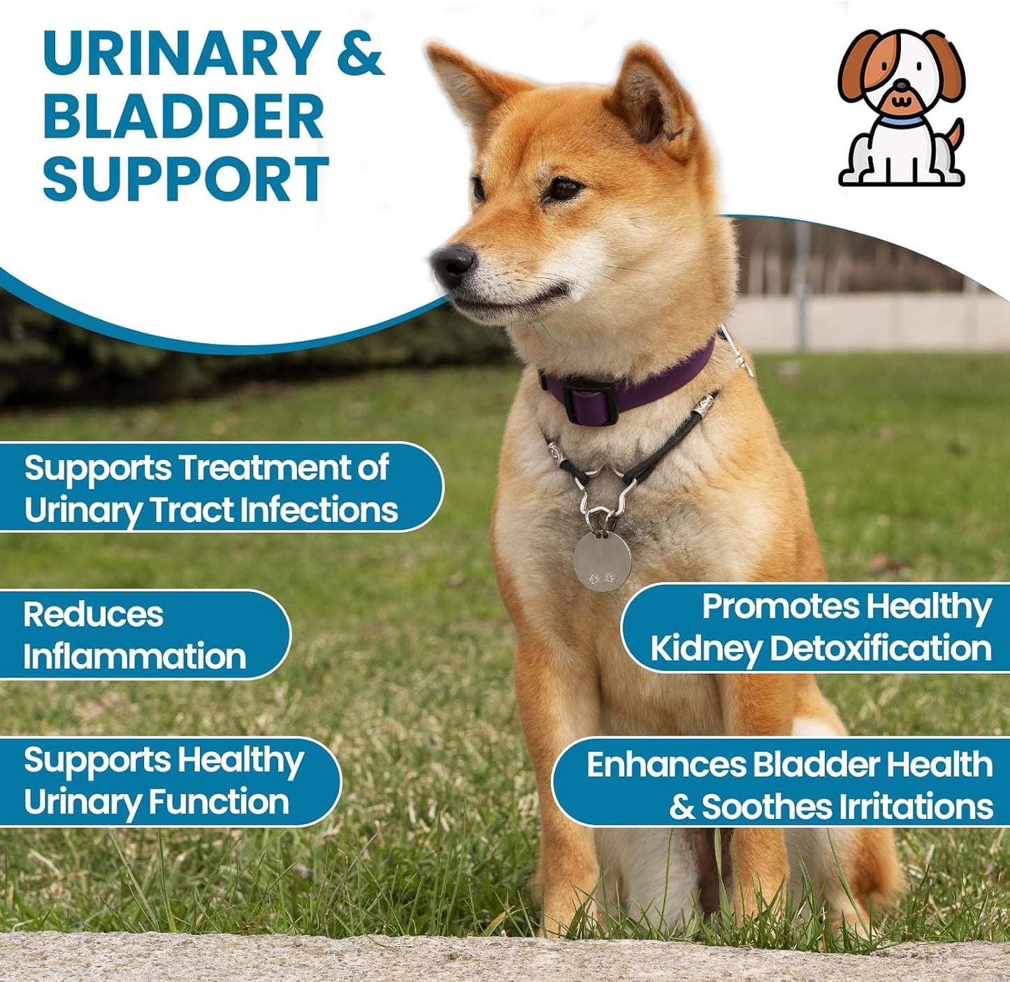 Replenish Urinary Tract Chews for Dogs - Cranberry Extract - 60 Chews - görsel 3