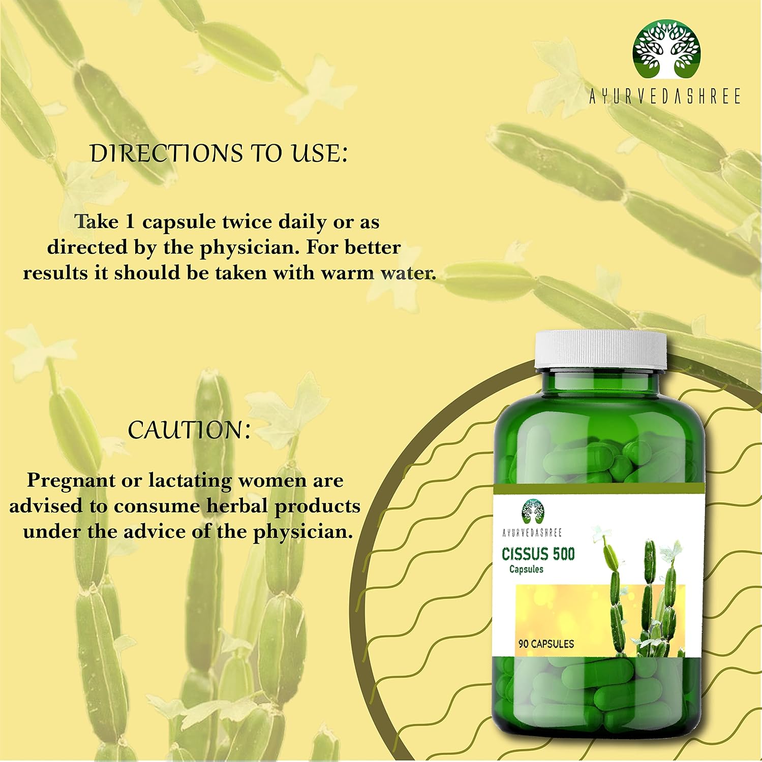 AYURVEDASHREE Asthishrunkala Cissus quadrangularis Capsules - 500mg, 90 Capsules - görsel 2