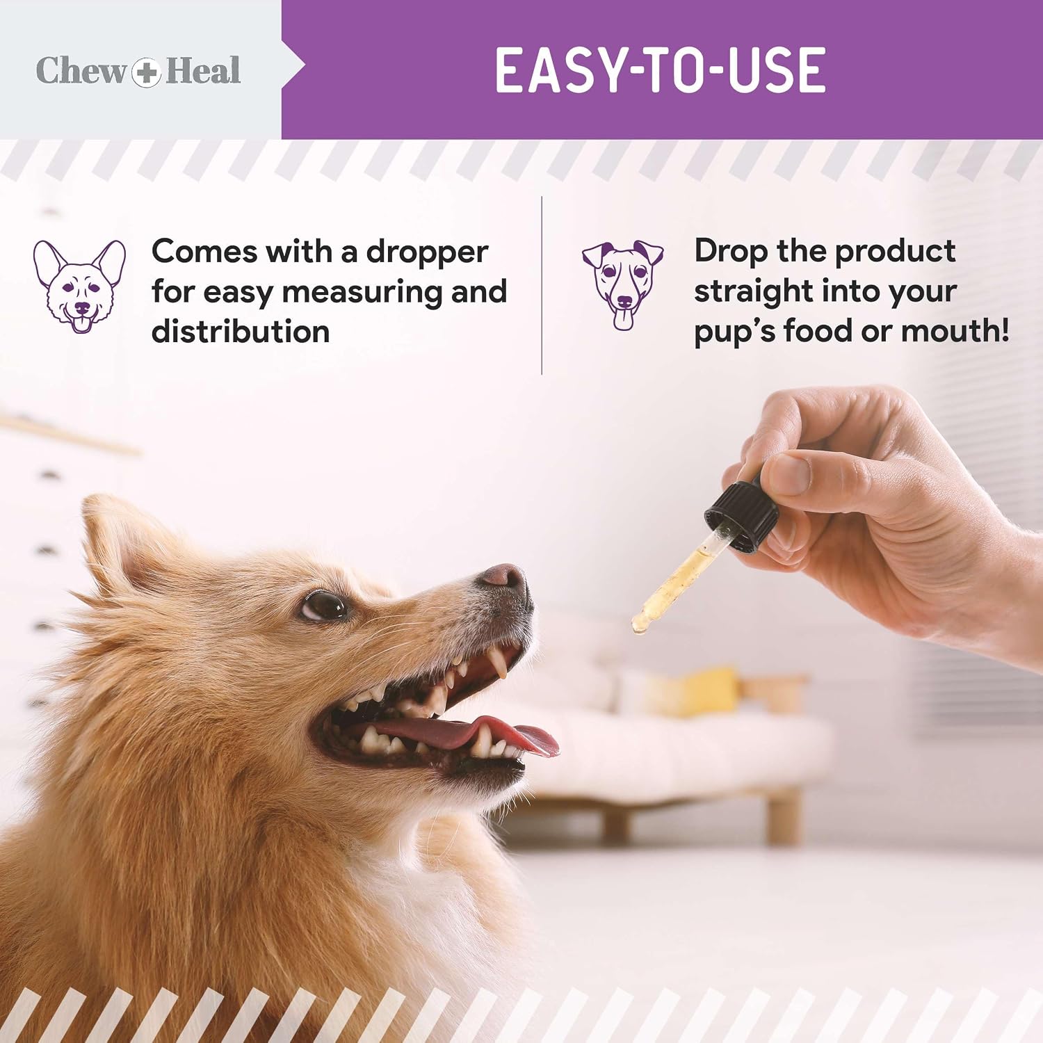 Milk Thistle for Dogs Liver Support - 60 ml Liquid Milk Thistle Supplement with Wild Alaskan Salmon Oil and Moringa Oil - Made in the USA - görsel 7