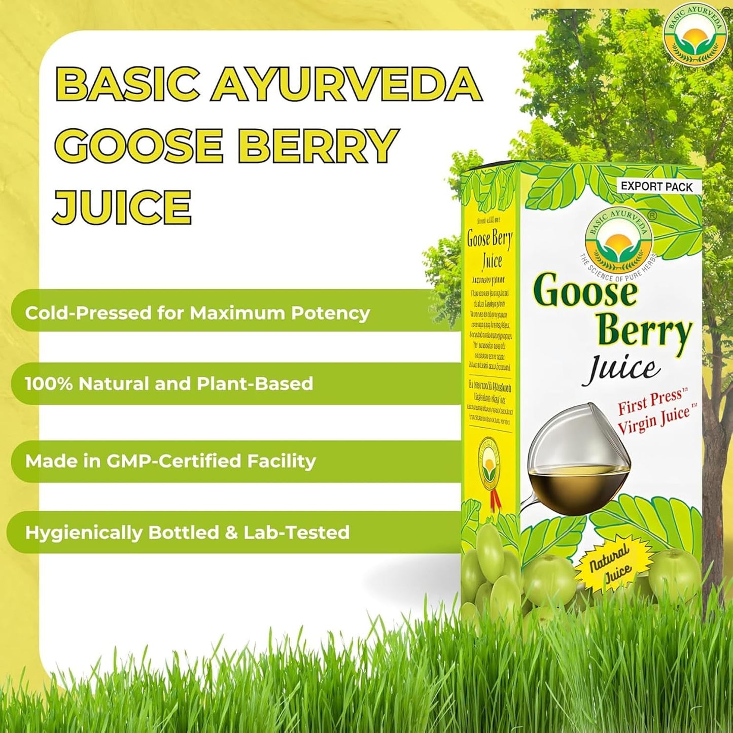 Basic Ayurveda Amla (Gooseberry) Juice | 480ml | Natural Vitamin C for Immune Function, Skin Radiance & Hair Health | Ayurvedic Daily Wellness Tonic | No Added Sugar - görsel 4