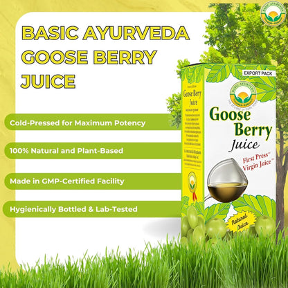 Basic Ayurveda Amla (Gooseberry) Juice | 480ml | Natural Vitamin C for Immune Function, Skin Radiance & Hair Health | Ayurvedic Daily Wellness Tonic | No Added Sugar