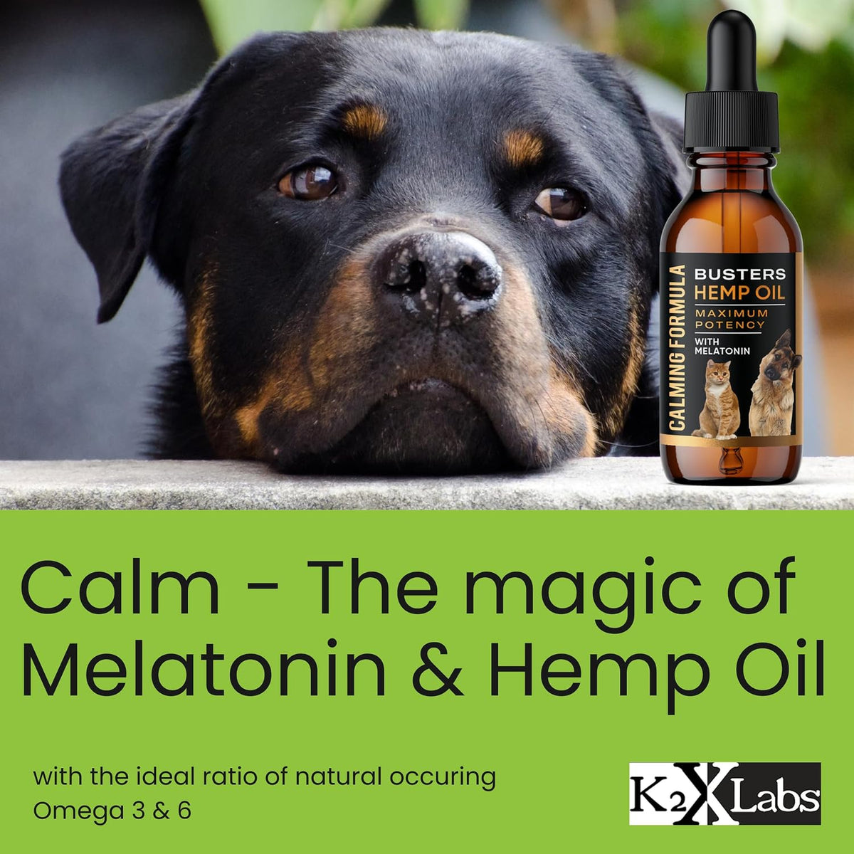Buster's Cold Pressed Hemp Seed Oil for Dogs and Cats - Melatonin Calming Drops - 2-Pack Natural Pet Hemp Oil - Sleep Support Supplement - görsel 5