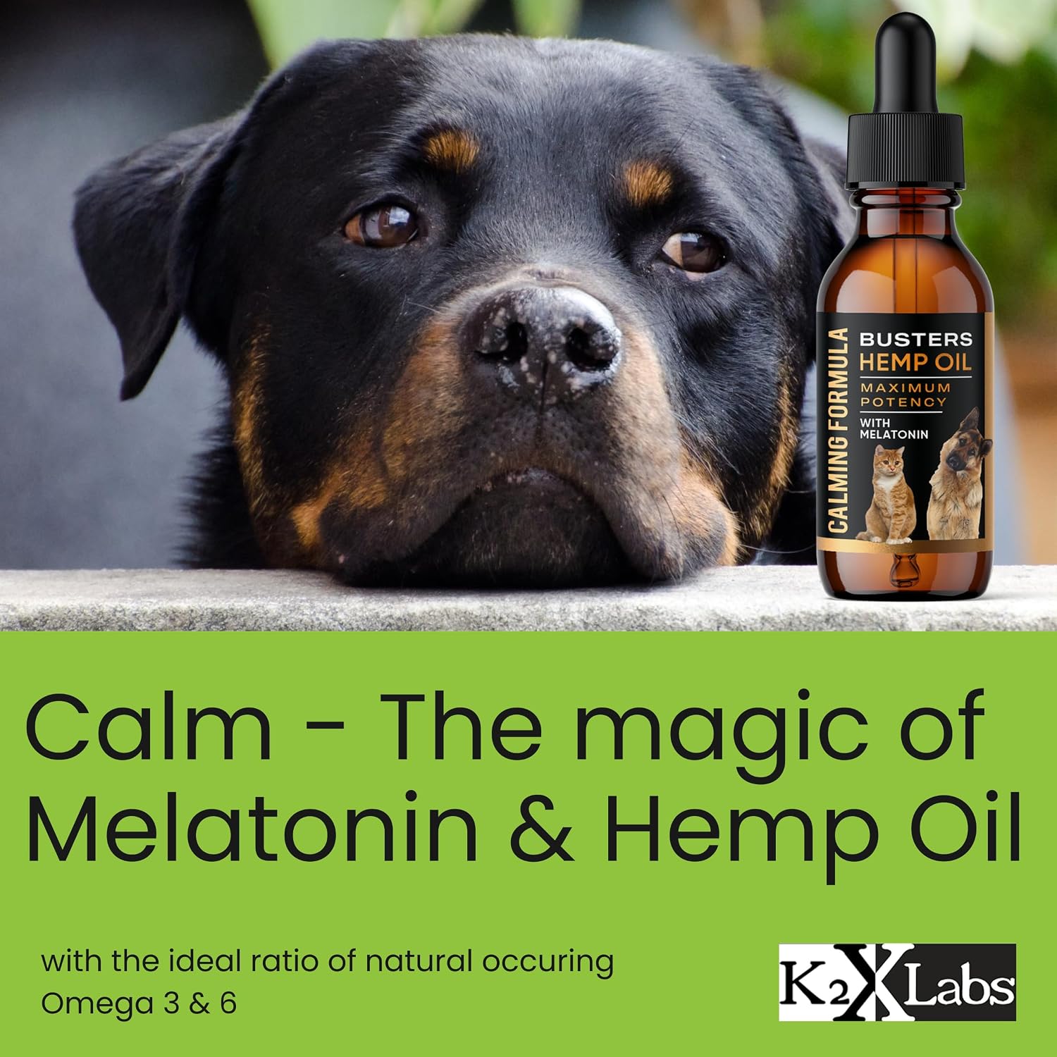 Buster's Cold Pressed Hemp Seed Oil for Dogs and Cats - Melatonin Calming Drops - 2-Pack Natural Pet Hemp Oil - Sleep Support Supplement - görsel 5
