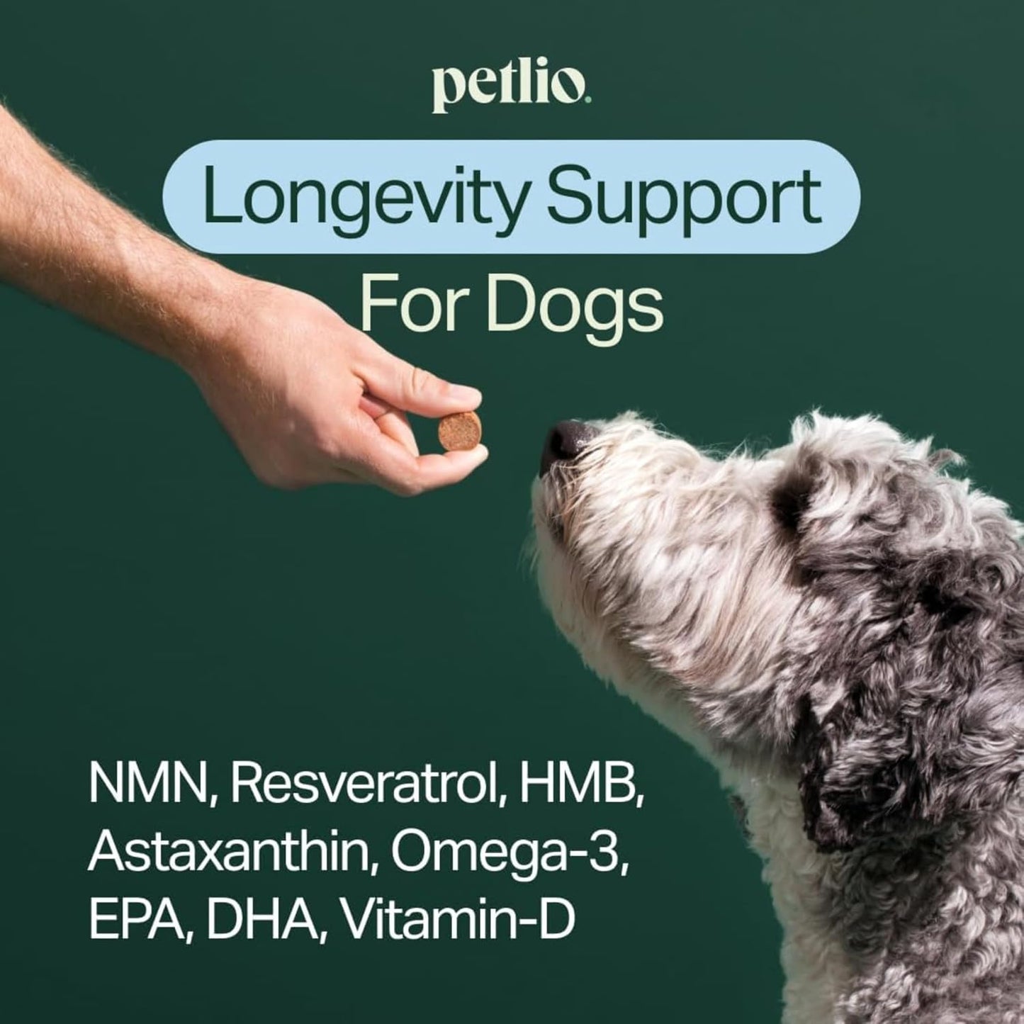Longevity+ Dog Health Supplement - Dog Vitamins and Supplements for Joint, Muscle, Immune, and Cognitive Health - Vet-Formulated and Made in the USA - for Small Dogs up to 11 kg - 30-Day Supply - görsel 2