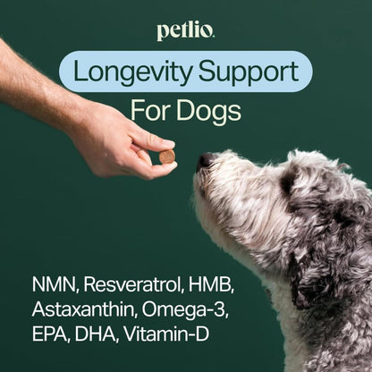 Longevity+ Dog Health Supplement - Dog Vitamins and Supplements for Joint, Muscle, Immune, and Cognitive Health - Vet-Formulated and Made in the USA - for Small Dogs up to 11 kg - 30-Day Supply