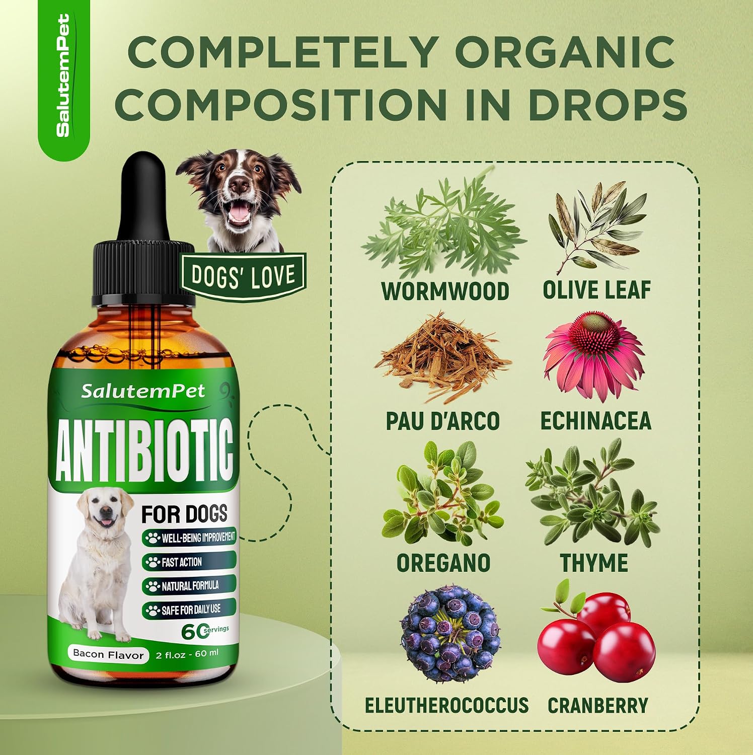 Natural Antibiotics for Dogs and Puppies – Herbal Ingredients – Bacon Flavour – 2 oz Liquid - görsel 3