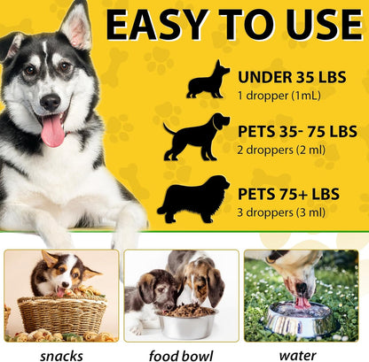 ARMOYA Natural Yeast Infection Treatment for Dogs - Itch & Inflammation Support - 60 ml