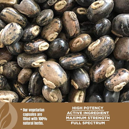 Herbsforever Mucuna Pruriens (Velvet Bean) Extra Strength (15:1) Extract, 840mg per Serving, 60 Vegetable Capsules