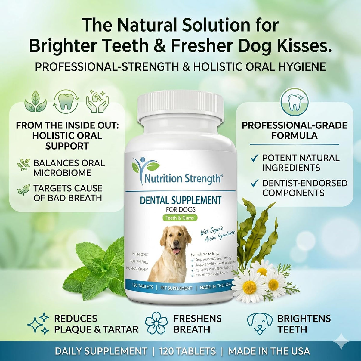 Nutrition Strength Dental Care for Dogs - Natural Plaque and Tartar Remover for Teeth - Breath Freshening Dog Supplement with Organic Kelp, Strawberry Leaf and Pumpkin Seed for Gum Health - 120 Tablets - görsel 2