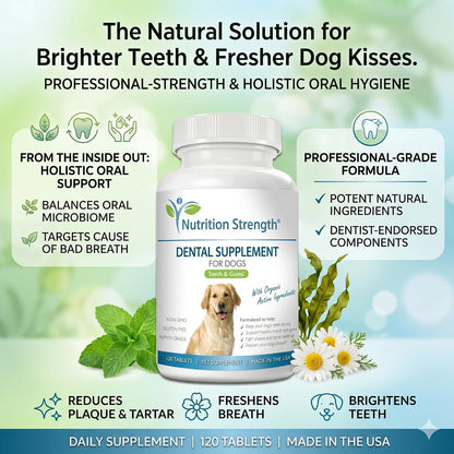 Nutrition Strength Dental Care for Dogs - Natural Plaque and Tartar Remover for Teeth - Breath Freshening Dog Supplement with Organic Kelp, Strawberry Leaf and Pumpkin Seed for Gum Health - 120 Tablets