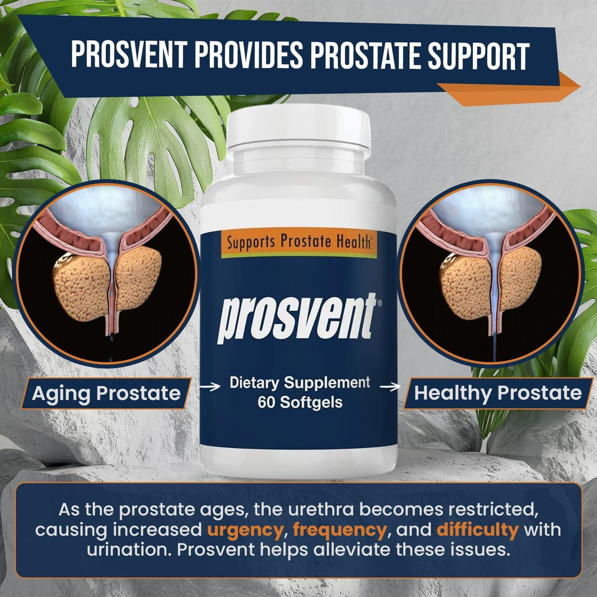 Prosvent Prostate Supplement for Men with – Vitamin D: Supports immune and prostate health.* – Image 7