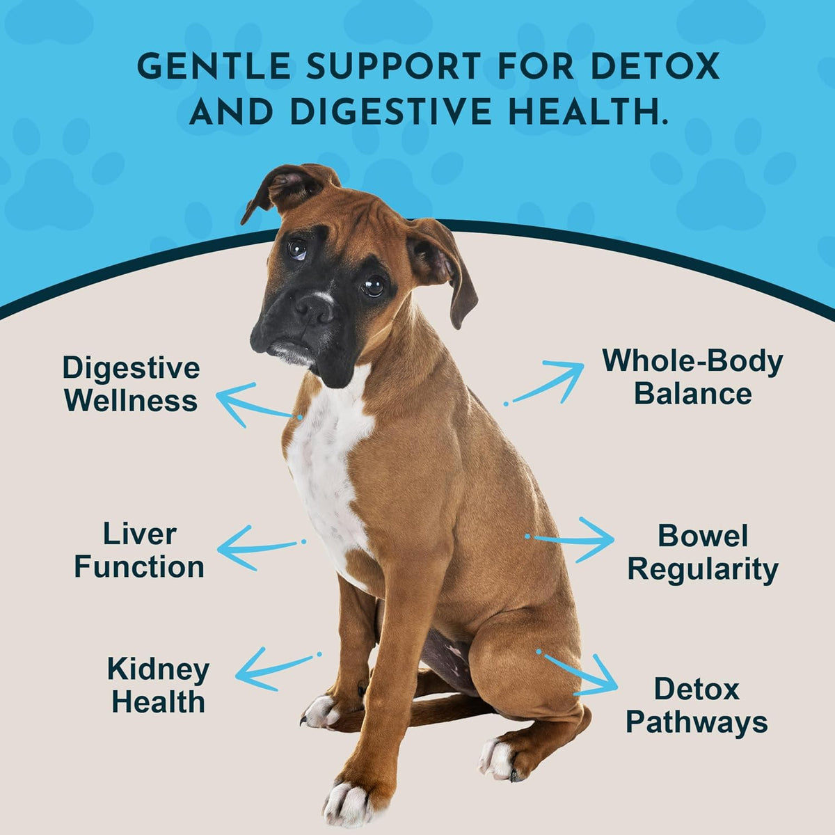 Animal Essentials Body Cleanse Liver Support for Dogs & Cats - 30 ml - görsel 3