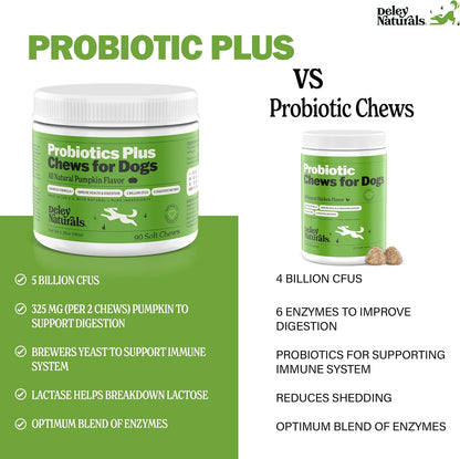 Deley Naturals Probiotics Plus Chews for Dogs - Gut Health Supplement with 5 Billion CFUs and Digestive Enzymes (90 Chews)