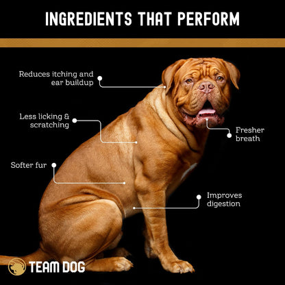 TEAM DOG Probiotic Chews for Dogs | Digestive Enzymes & Probiotics for Gut Health, Skin Support, and Sensitive Stomachs | 120 Chews