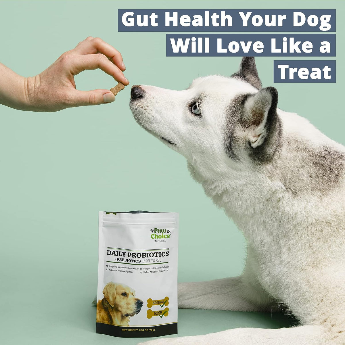 Paw Choice Probiotics for Dogs with Prebiotics - Daily Chews for Gut Health, Digestion, Regularity, and Immune Support - görsel 4