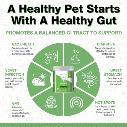 Pawlife Probiotics for Dogs - Pumpkin Flavour Soft Chews (240 Count)