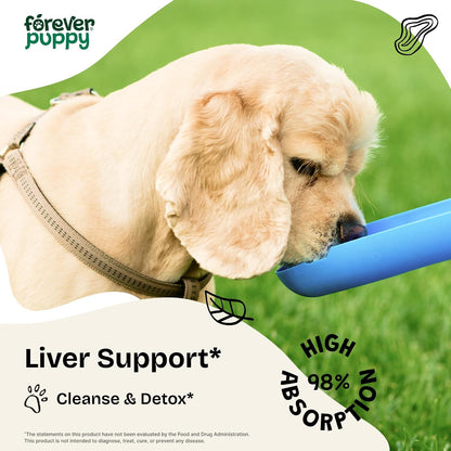 Milk Thistle Supplement for Dogs, 60 ml - Liver Support with Silymarin Extract by Forever Puppy