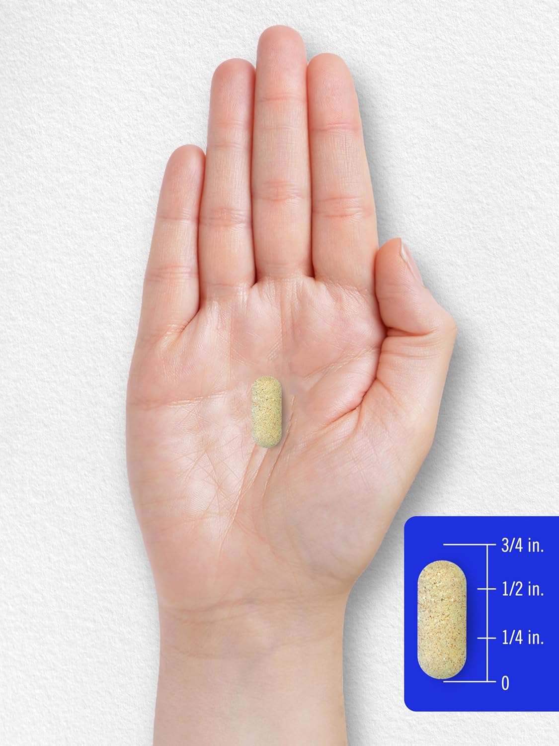 Carlyle Vitamin B Complex with Vitamin C - 250 Tablets - görsel 8
