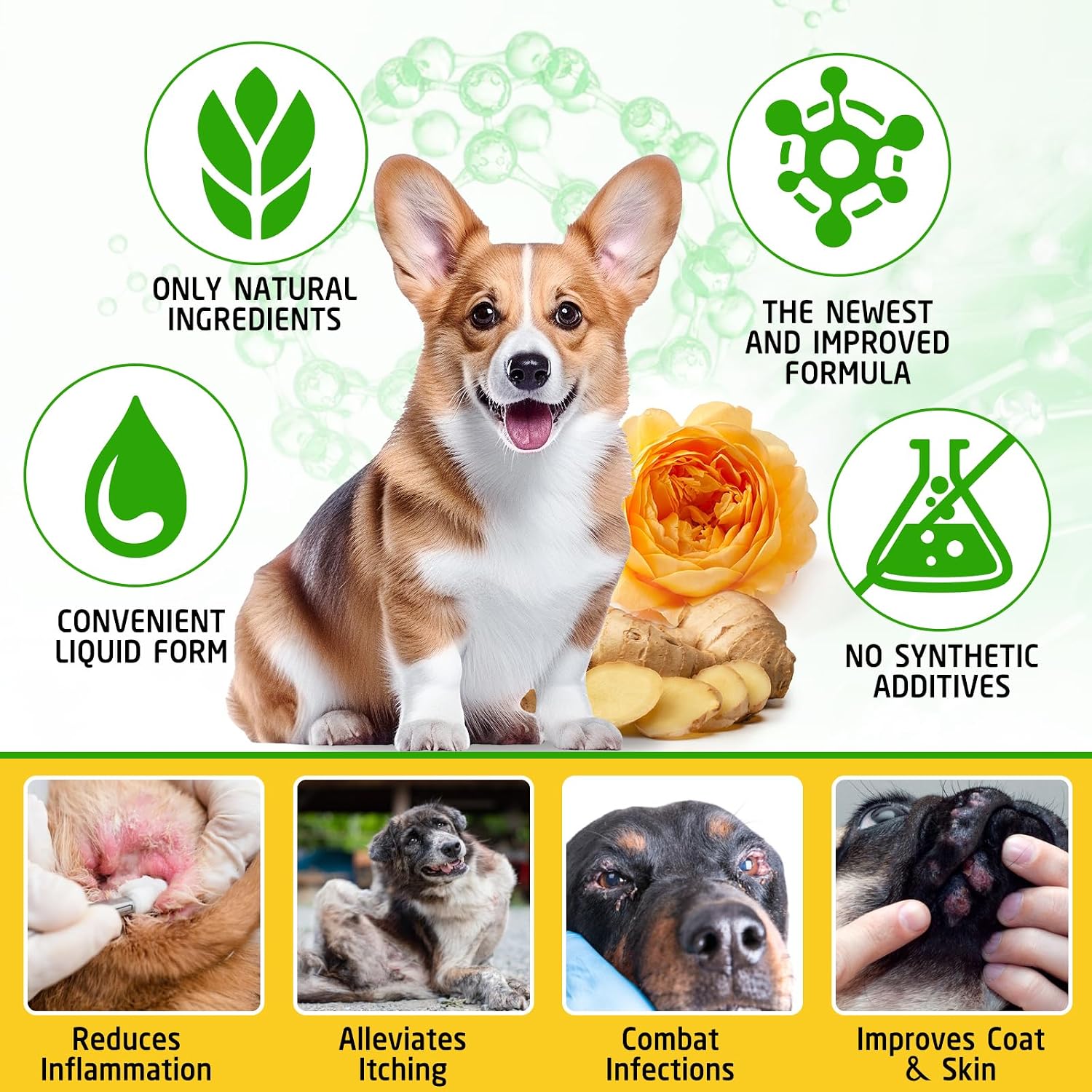 ARMOYA Natural Yeast Infection Treatment for Dogs - Itch & Inflammation Support - 60 ml - görsel 5